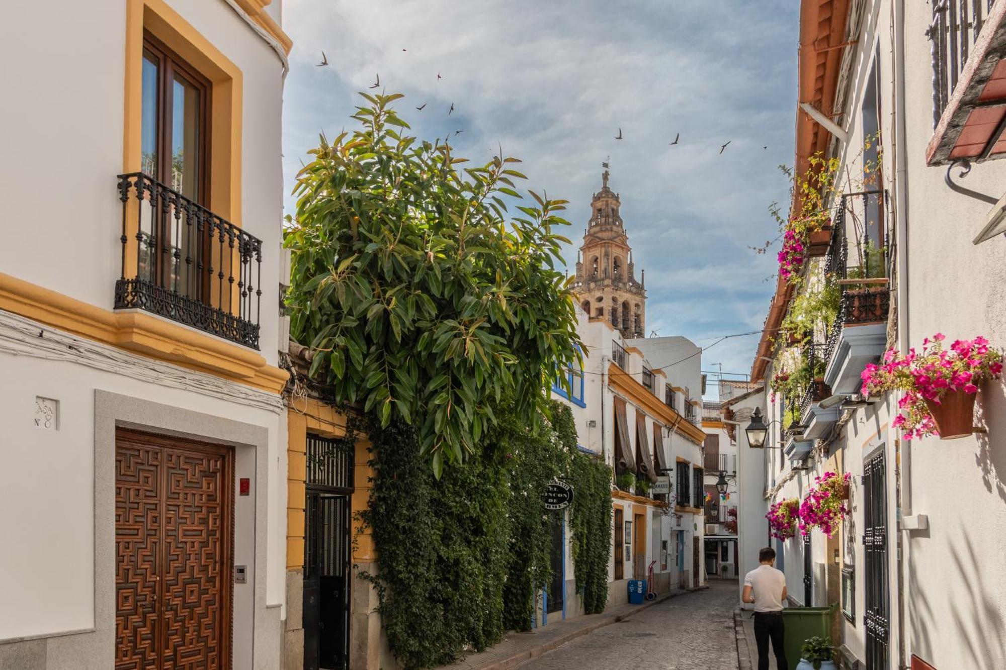 Luxury El Patio De La Juderia Leilighet Córdoba Eksteriør bilde